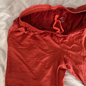 DSG Rust Red Performance Shorts